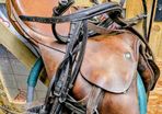 Equestrian set