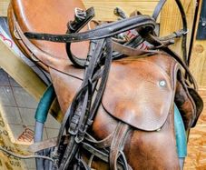 Equestrian set