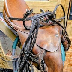 Equestrian set