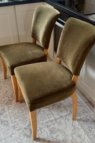 EZ Living velvet dining chairs green