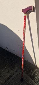 walking stick