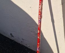 walking stick