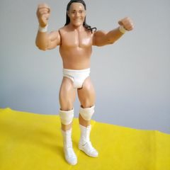 Wrestlers WWE Boljeve action Figure