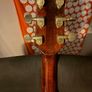 1981 Ibanez AR100 Image 6