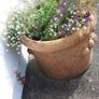 Beautiful Large Garden Planter/Pot Image 4