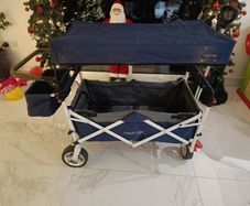 Twin Baby Kart/Wagon