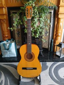 Vintage era Hondo Acoustic and bag