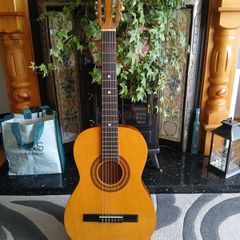 Vintage era Hondo Acoustic and bag