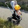 cybex travel Image 5