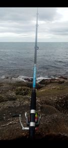 Selection of fishing poles