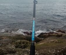 Selection of fishing poles