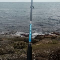 Selection of fishing poles