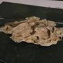 marine rocks Image 2