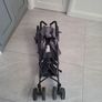 cygnet Stroller Image 5