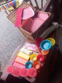 Picnic set with plastic cups bowls plates cutlery, D18