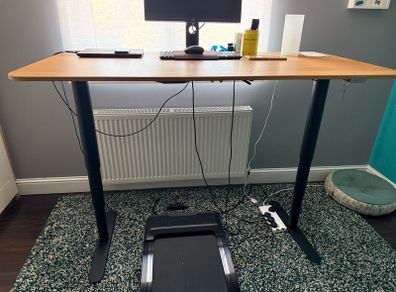 Sit/Stand Desk