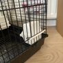 bird cage Image 9