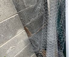 chicken wire