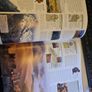 3 DK books Dorling Kindersley Image 10