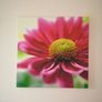 Canvas Picture Image 2