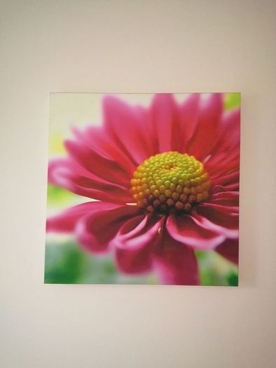 Canvas Picture