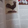 How To Raise Poultry / Christine Heinrichs / 2009 Image 7