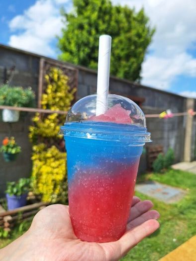 Slush Machine 2x15L