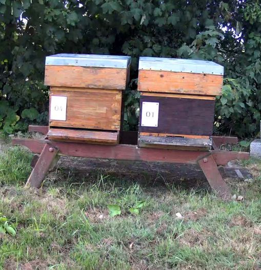 4 Beehives & Bees with ALL equipment