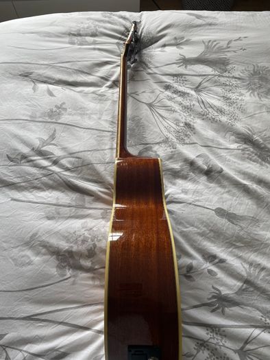 Richwood Artist Series Acoustic Bass Guitar
