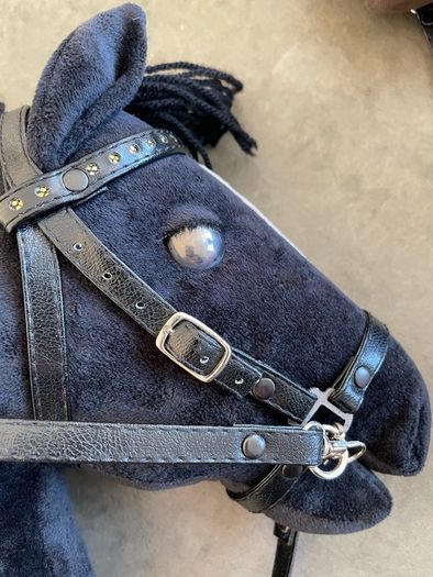 Hobby horses