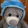 teddy Image 2