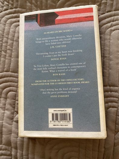 Book: Mary Costello, Academy Street