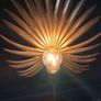 Stunning pair of accent  table lamps Image 9