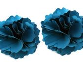 Shoe Clips