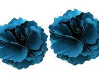 main image for ad Shoe Clips