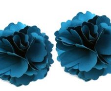 Shoe Clips
