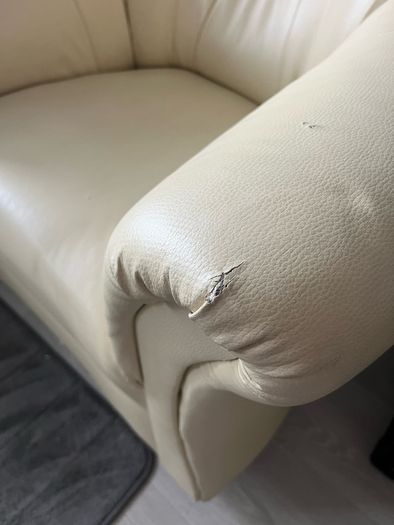 arm