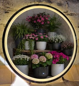 LED Bathroom Mirror Bluetooth Speakers Tricolor Light