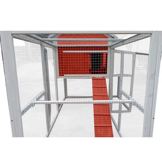Cluckingham Palace 10 to 12 Birds Red - FREE DELIVERY