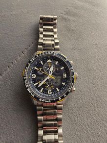 citizen promaster skyhawk