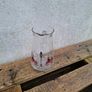 Glass pitcher postage possible Image 2