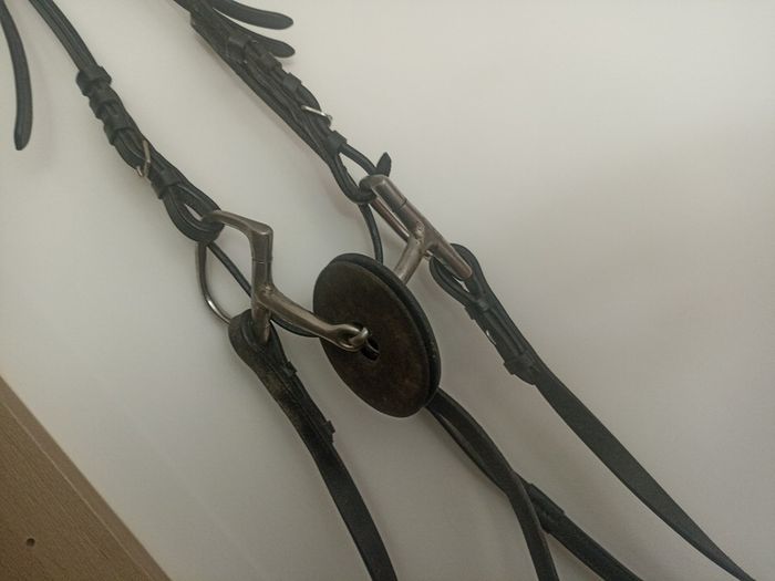 Cob Snaffle Bridle