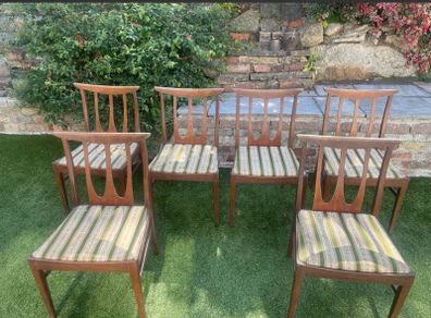 6 G plan dining chairs