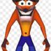 bandacoot