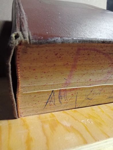 The Standard Book of Essential Knowledge