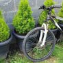 bike Image 4