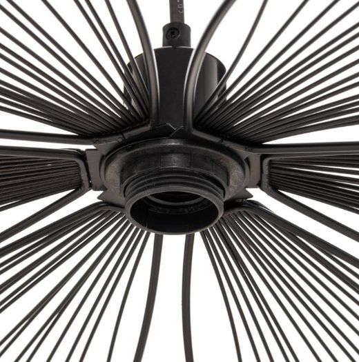 Pendant flower shape light with Philips Hue bulb