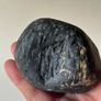 Collectable Fossil coral stones Image 9