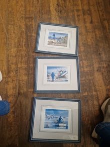 pictures