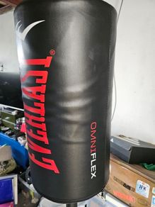Punch Bag Everlast heavy bag and Venum gloves